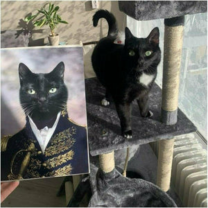 Pet portrait Admiral