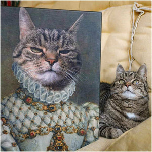 Huisdier portret kat