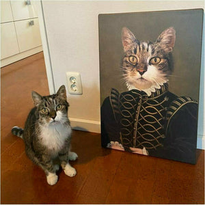 Pet portrait cat