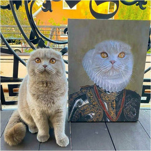 Pet portrait cat