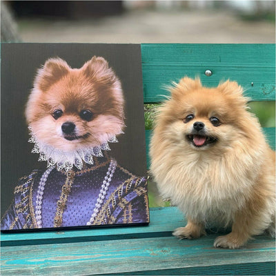 Huisdier portret hond